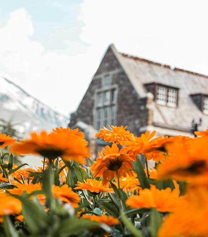 Unlocking the Power of DSCR Loans in Fairfax, VA