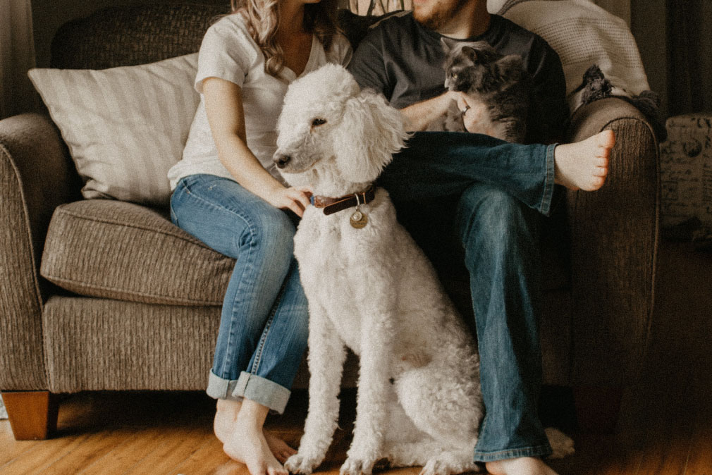 How DSCR Loans Help Fairfax Investors Expand Their Portfolios